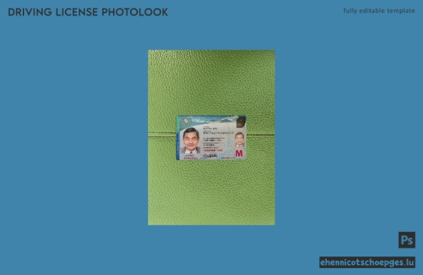 Guatemala Führerschein 2021-heute Fotoansicht Beispielvorschau